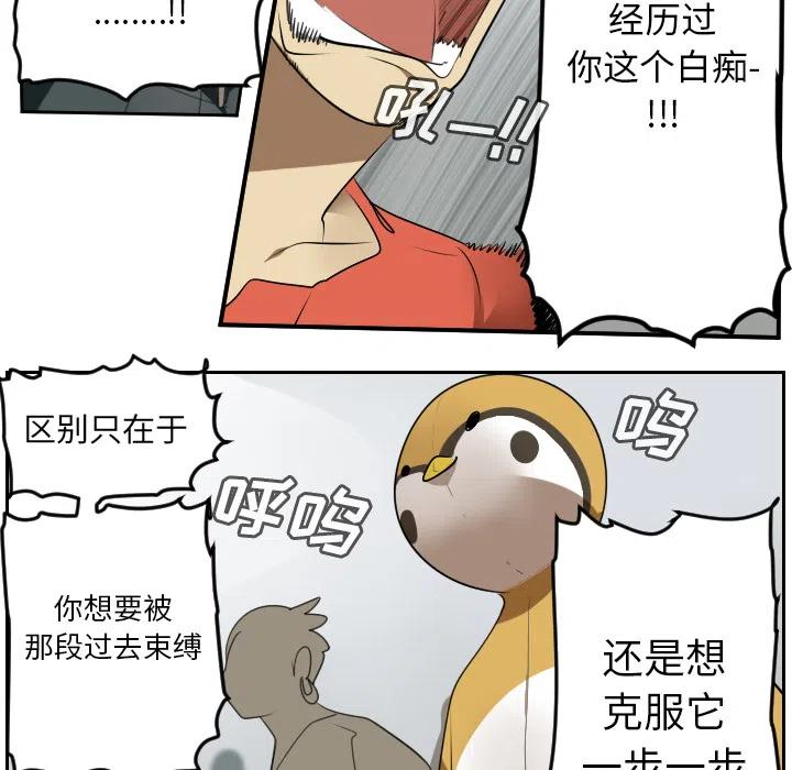 第 48 页