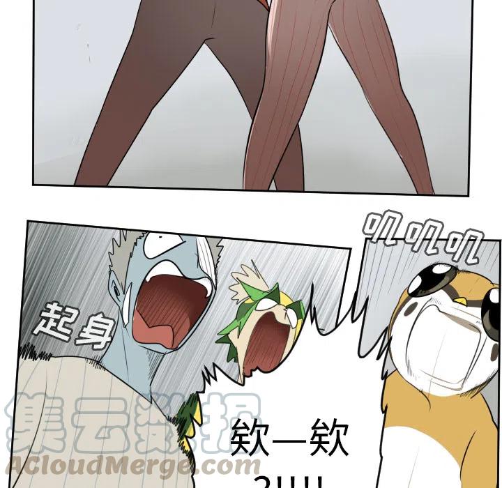 第 46 页