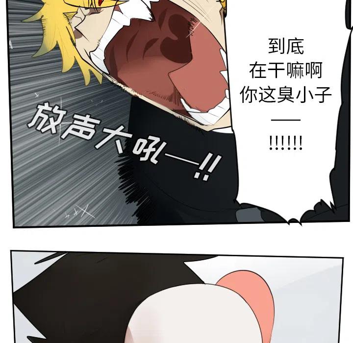第 51 页