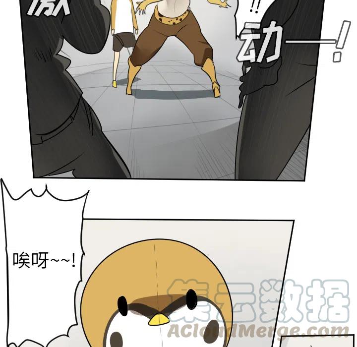 第 40 页