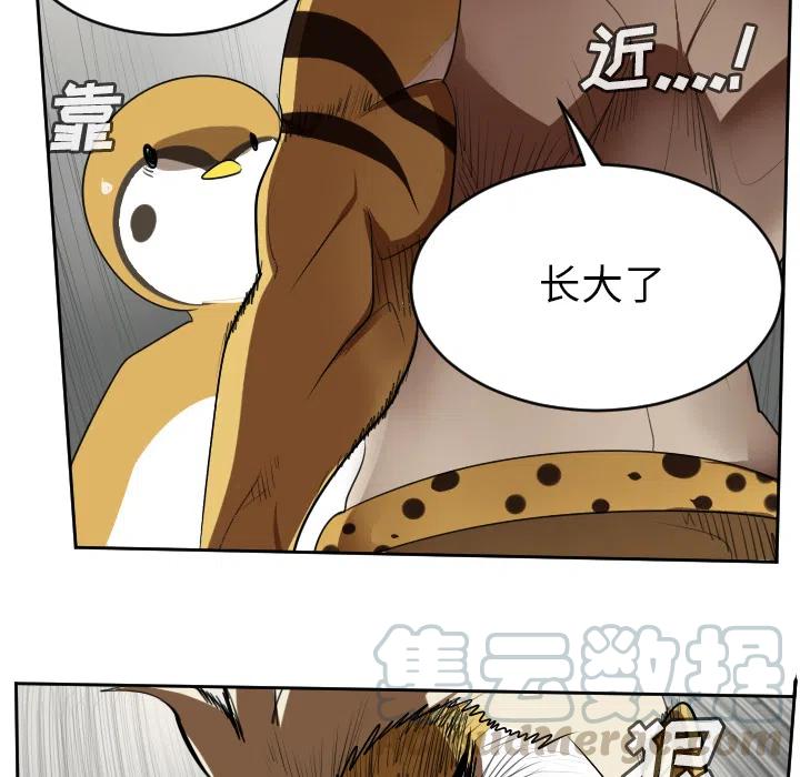 第 43 页