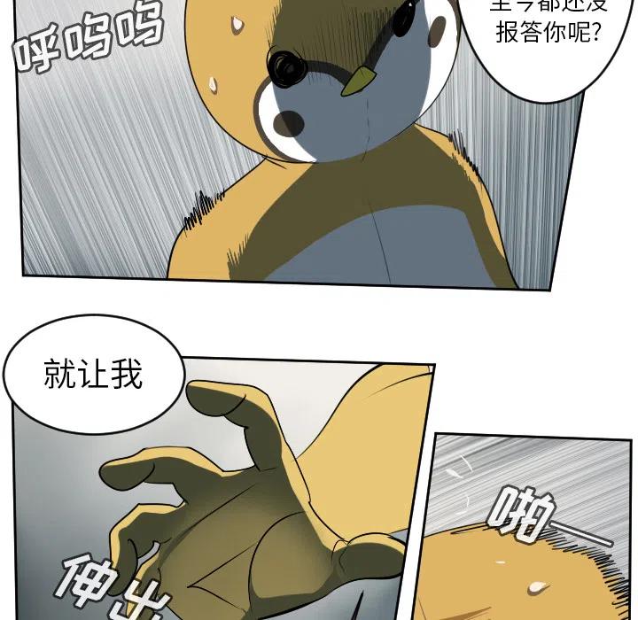 第 45 页