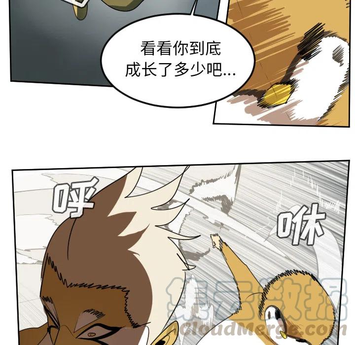 第 46 页