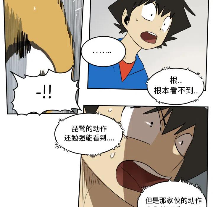 第 51 页
