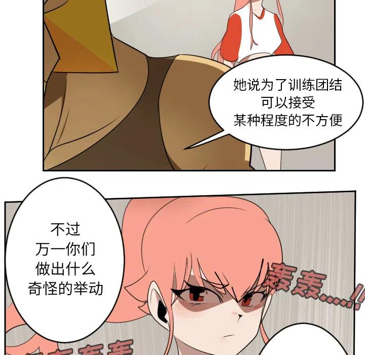 第 41 页