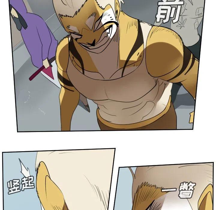 第 48 页