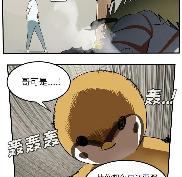 第 41 页