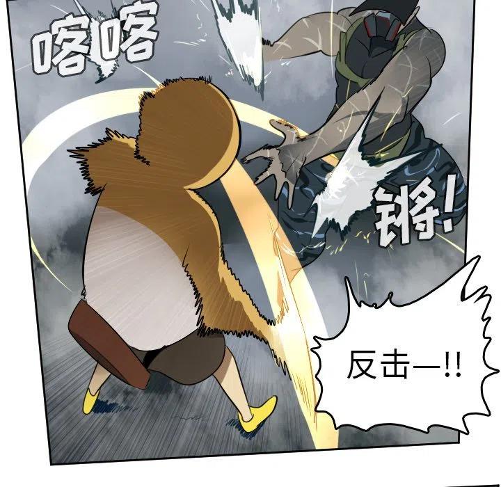 第 47 页