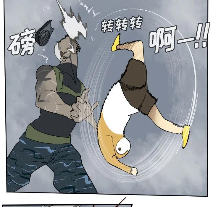第 45 页