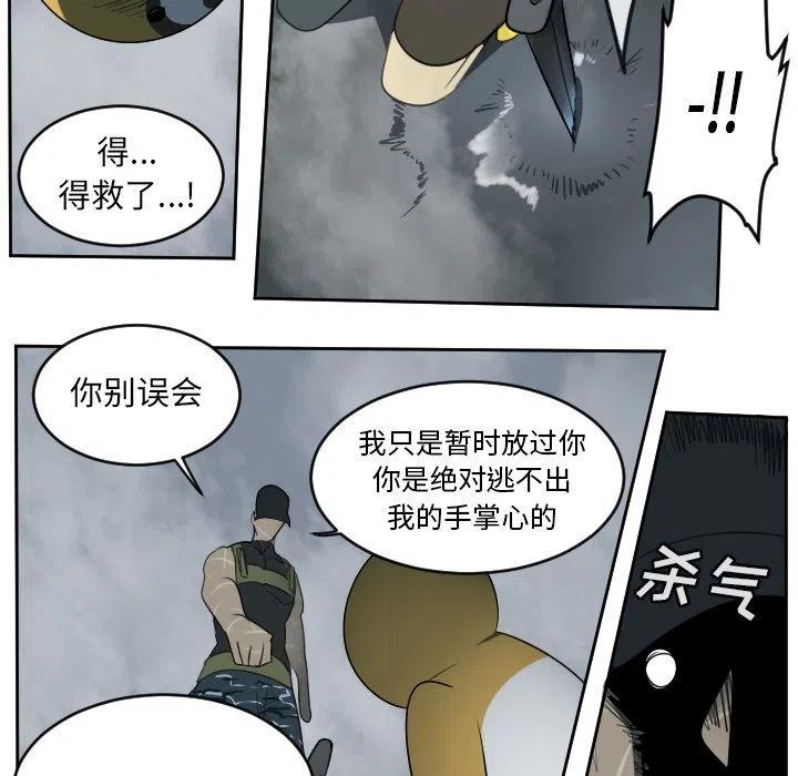 第 48 页
