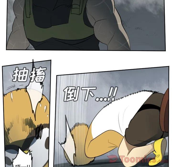 第 50 页