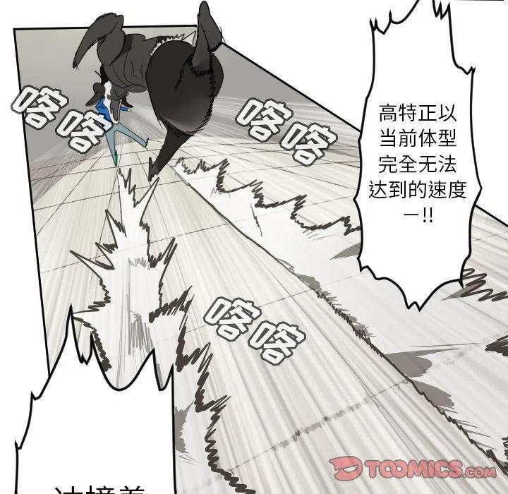 第 41 页