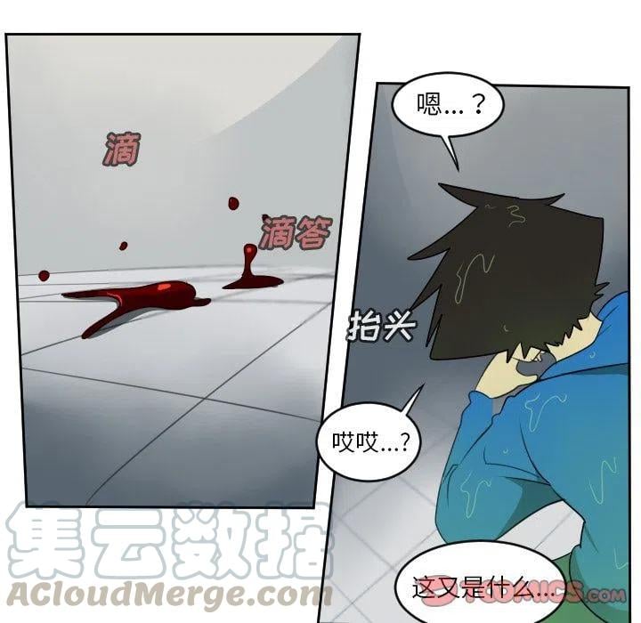 第 43 页