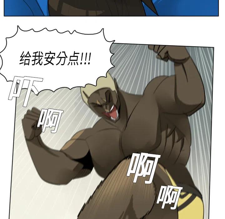 第 48 页