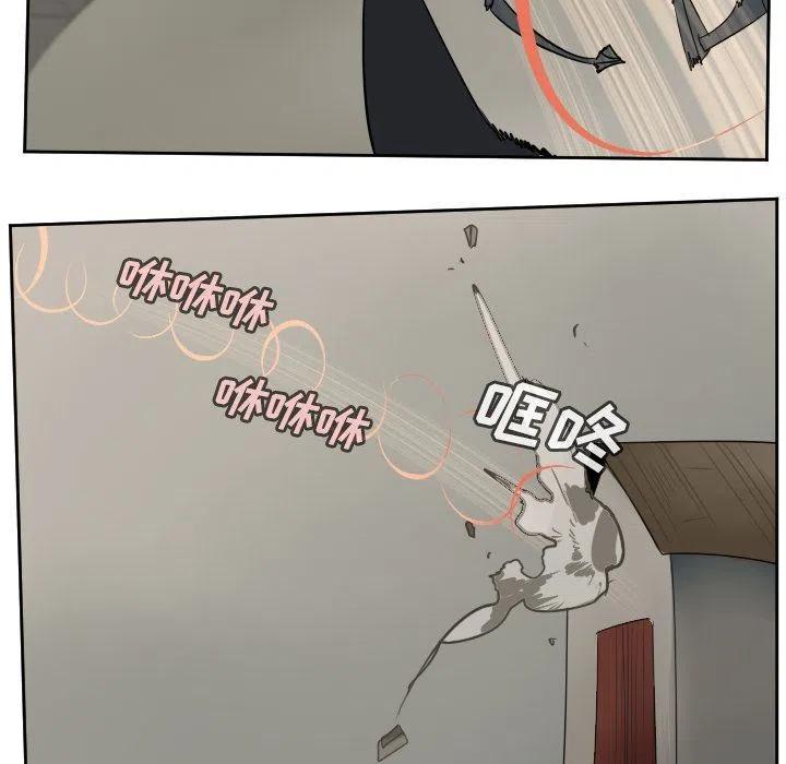 第 48 页