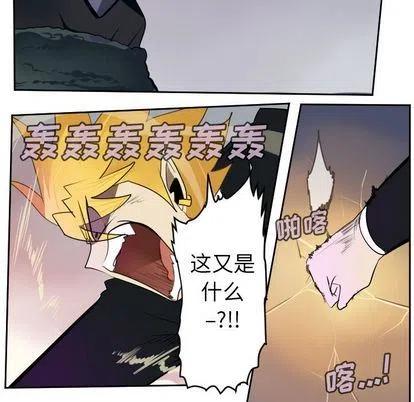 第 48 页