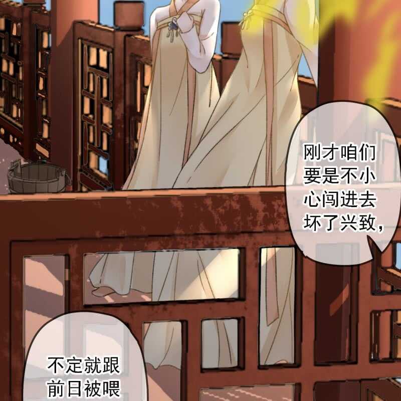 第 48 页