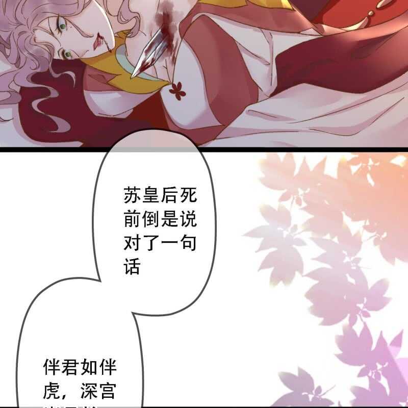 第 51 页
