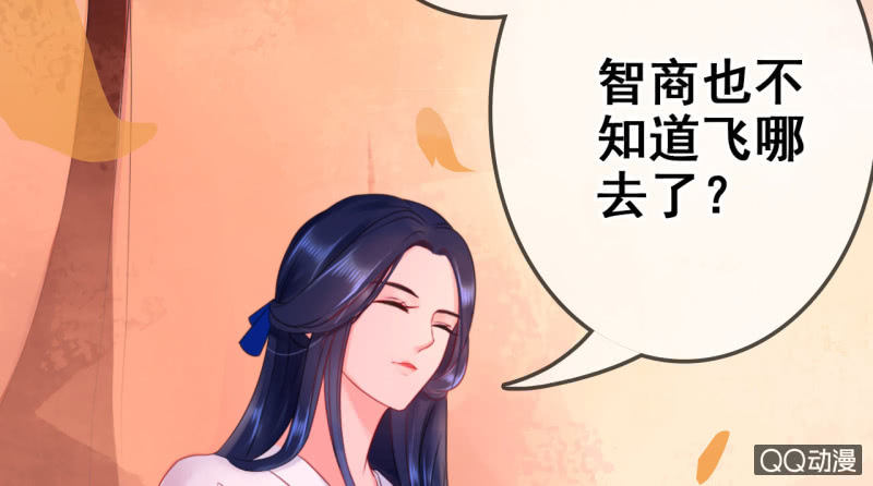 第 53 页