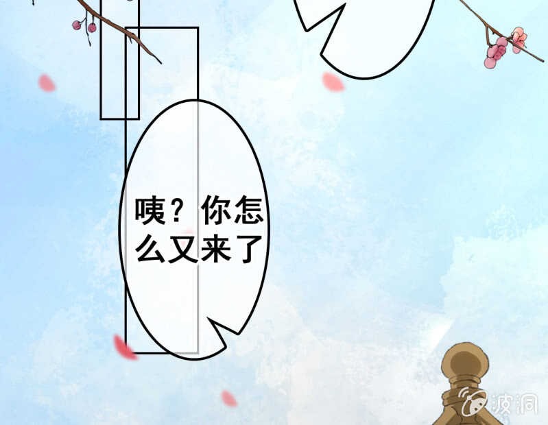 第 34 页