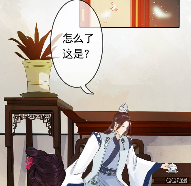 第 41 页