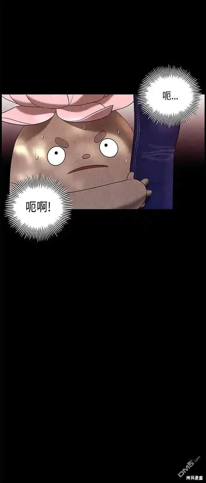 第 43 页