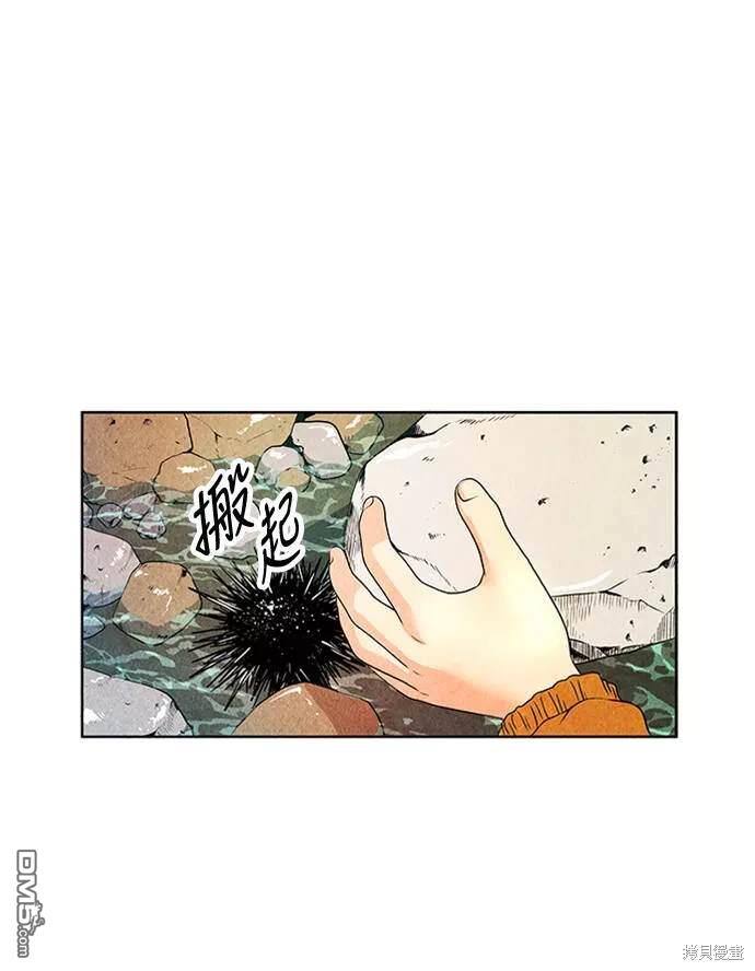 第 74 页