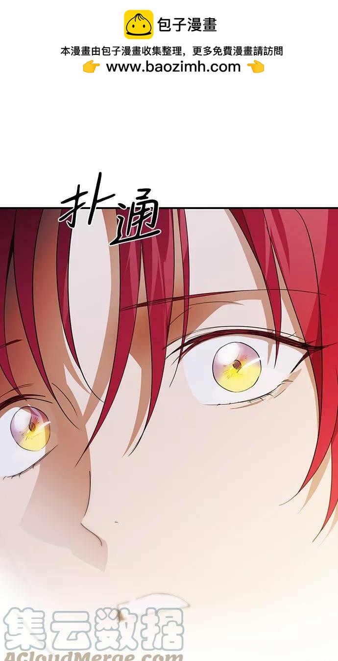 第 100 页