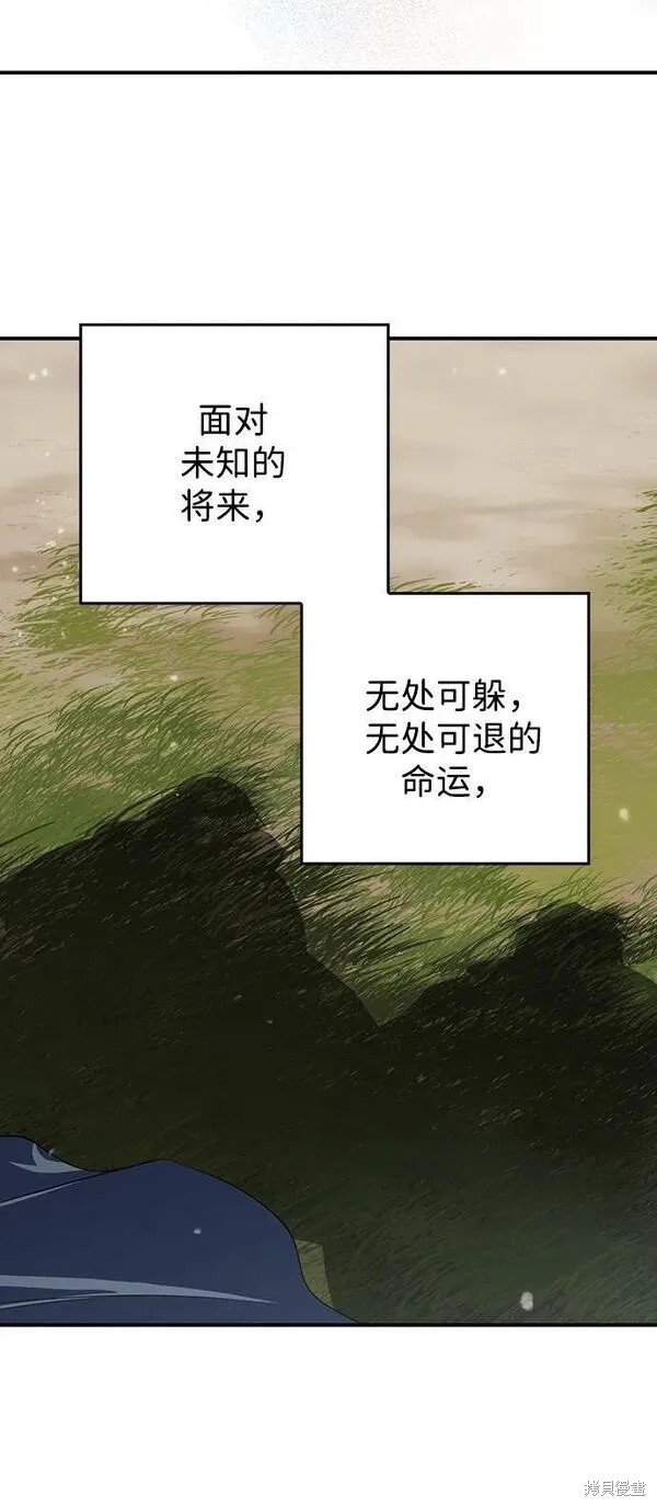 第 91 页