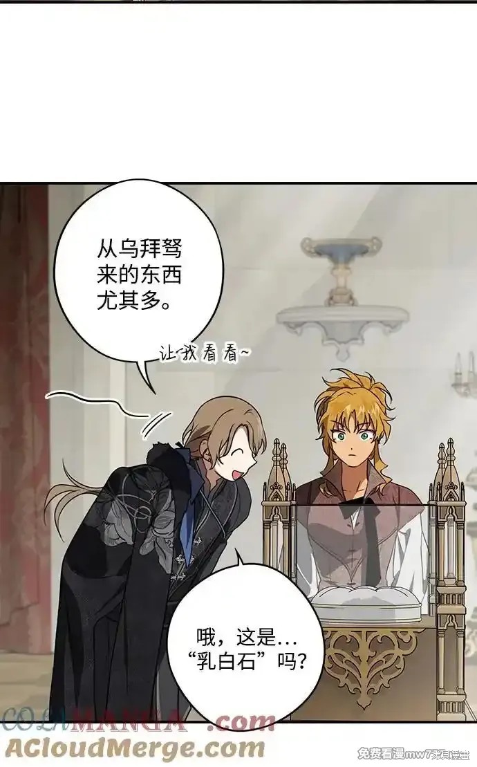 第 48 页