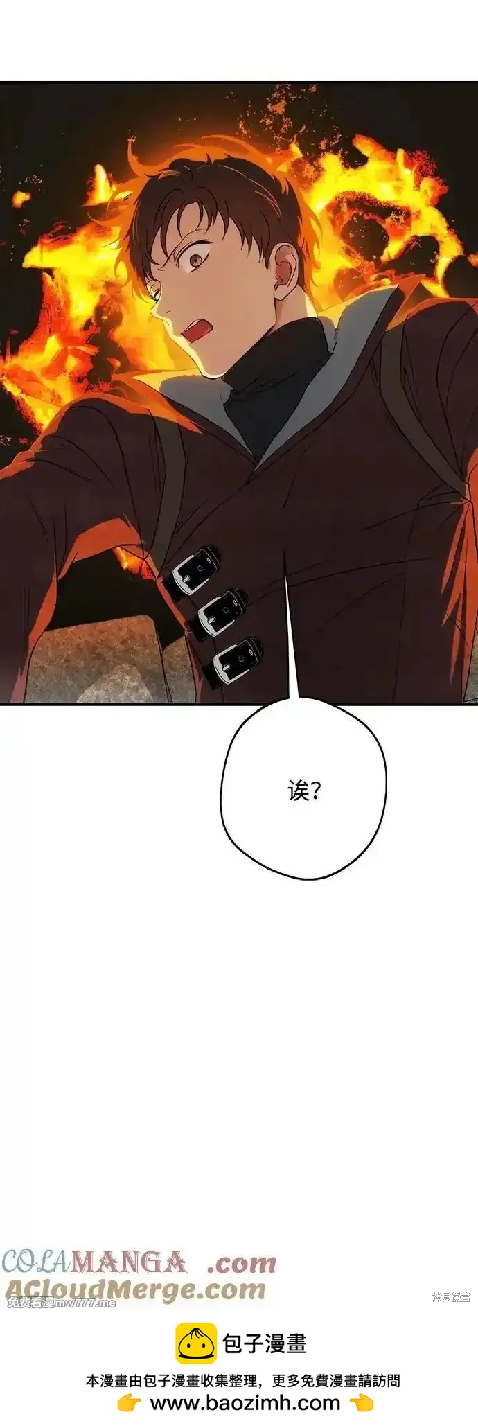 第 66 页