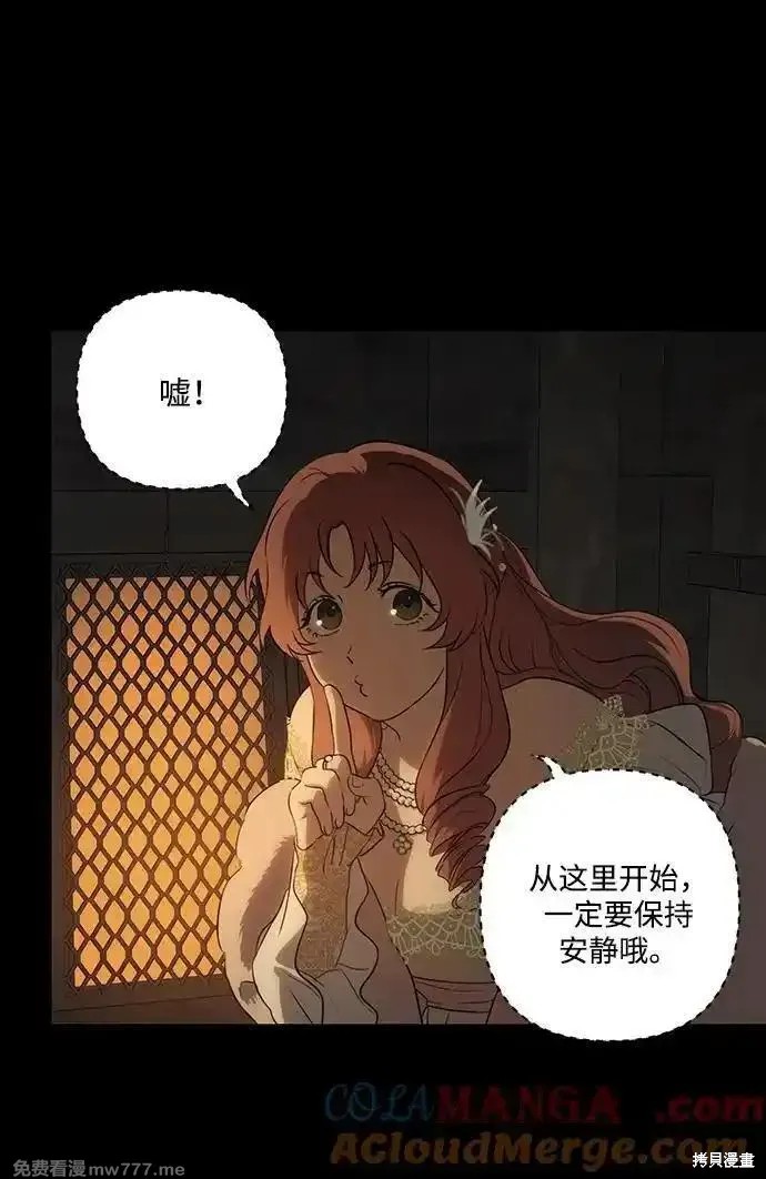 第 51 页