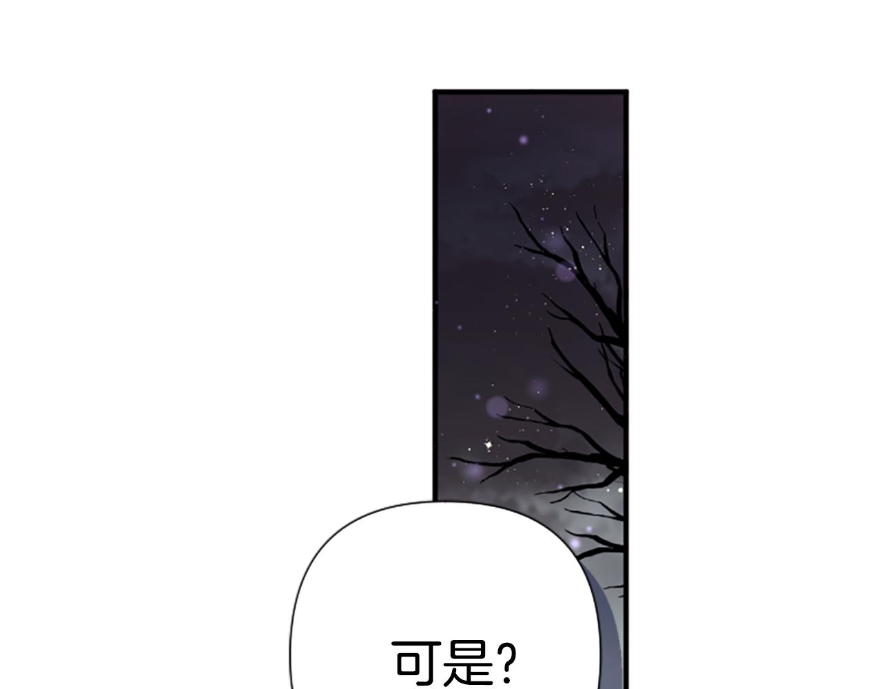 第 111 页