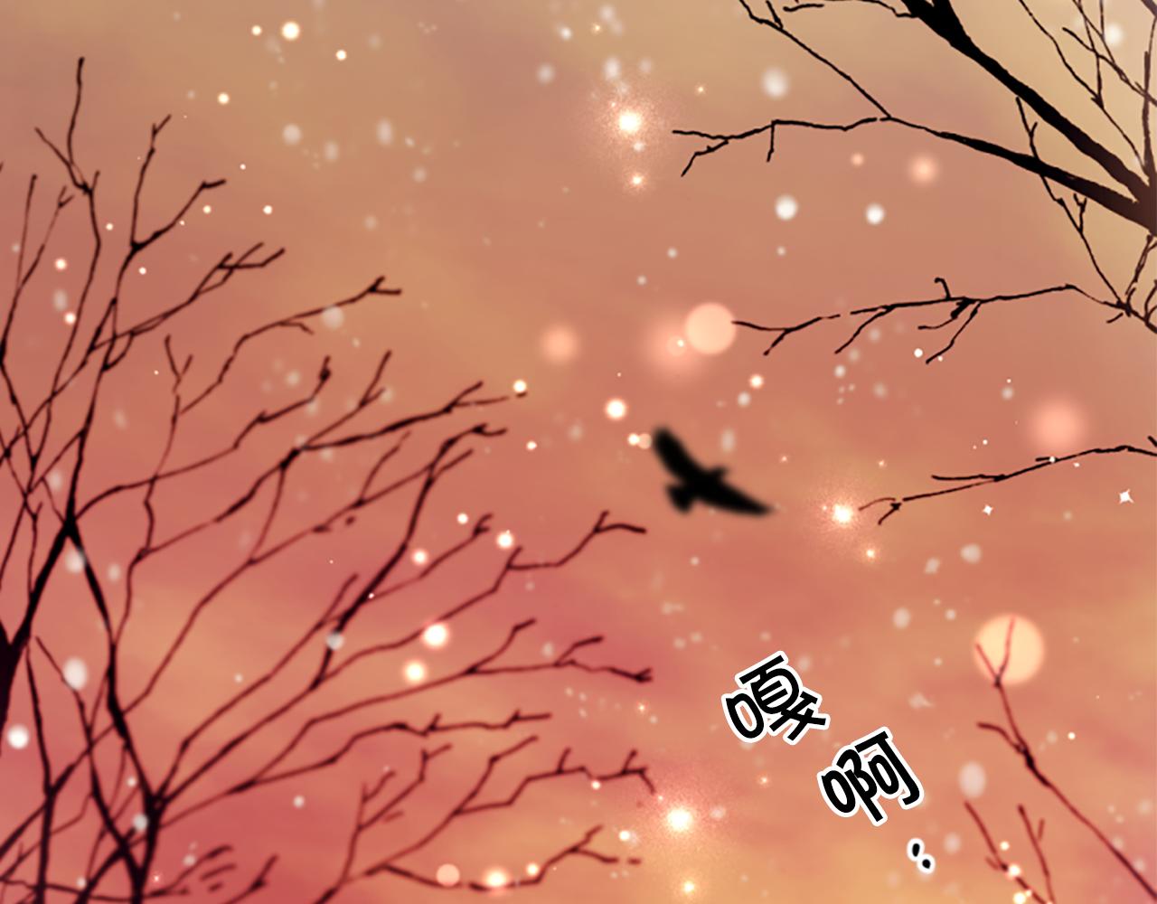 第 141 页