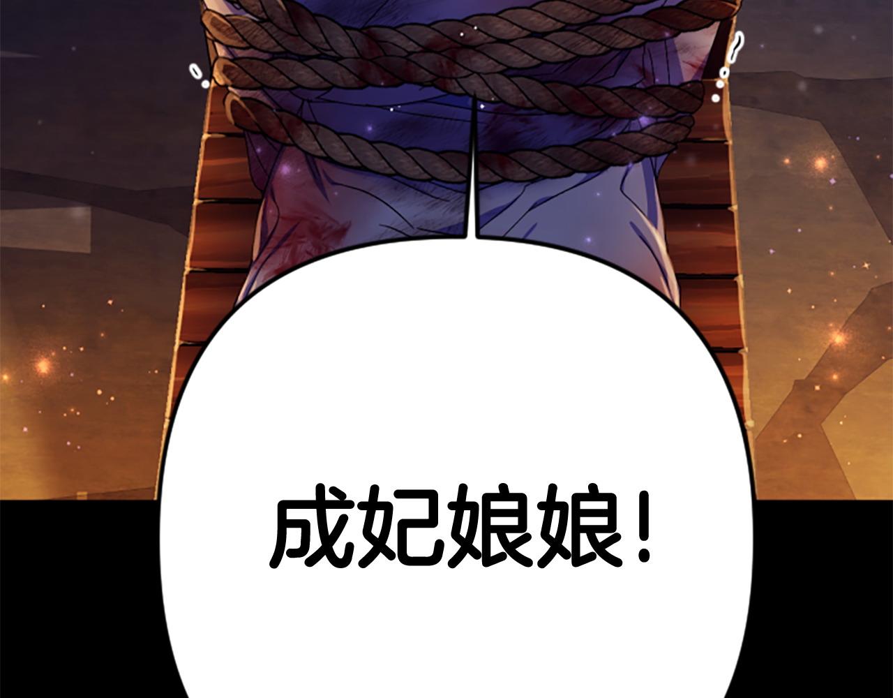 第 146 页