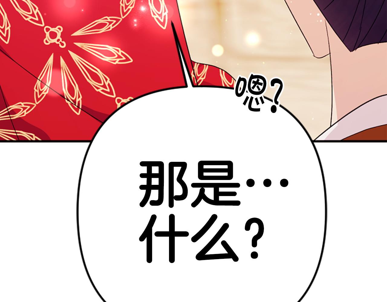 第 161 页