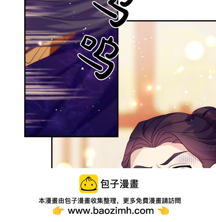 第 100 页