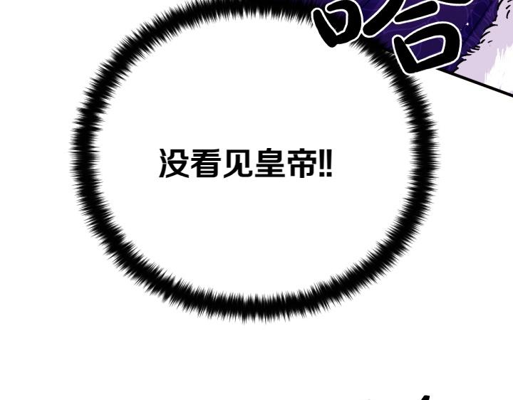 第 120 页