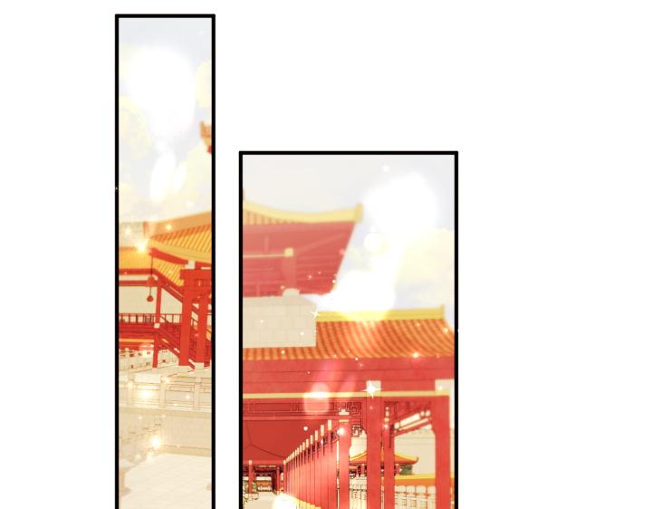 第 135 页