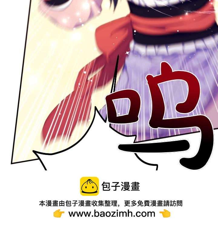 第 113 页