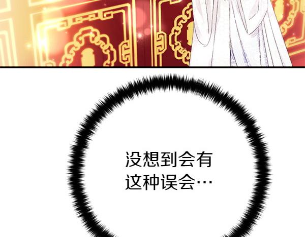 第 113 页