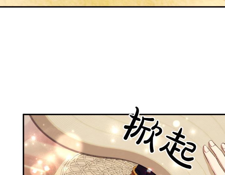 第 113 页