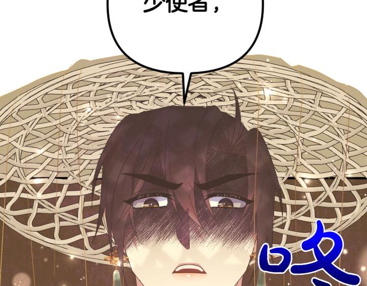 第 119 页