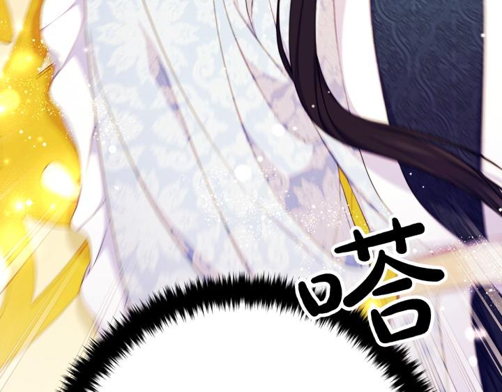第 106 页