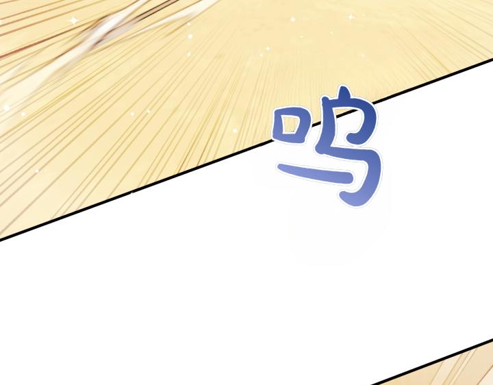 第 106 页