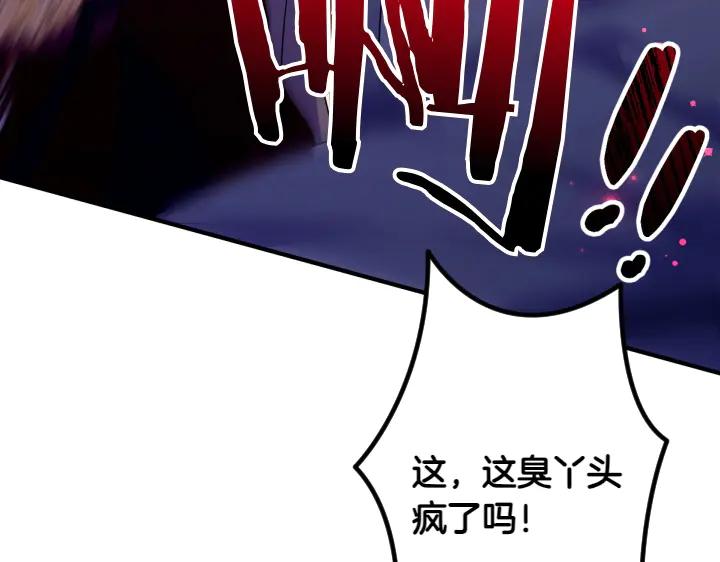 第 111 页