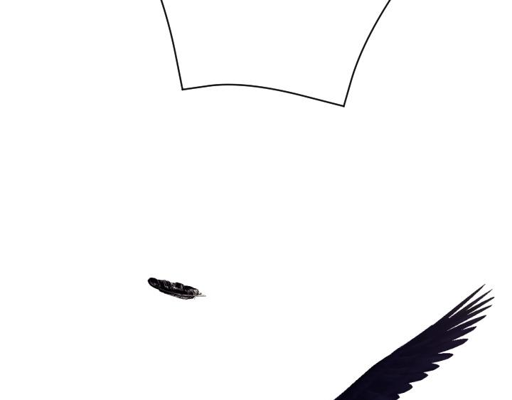 第 113 页