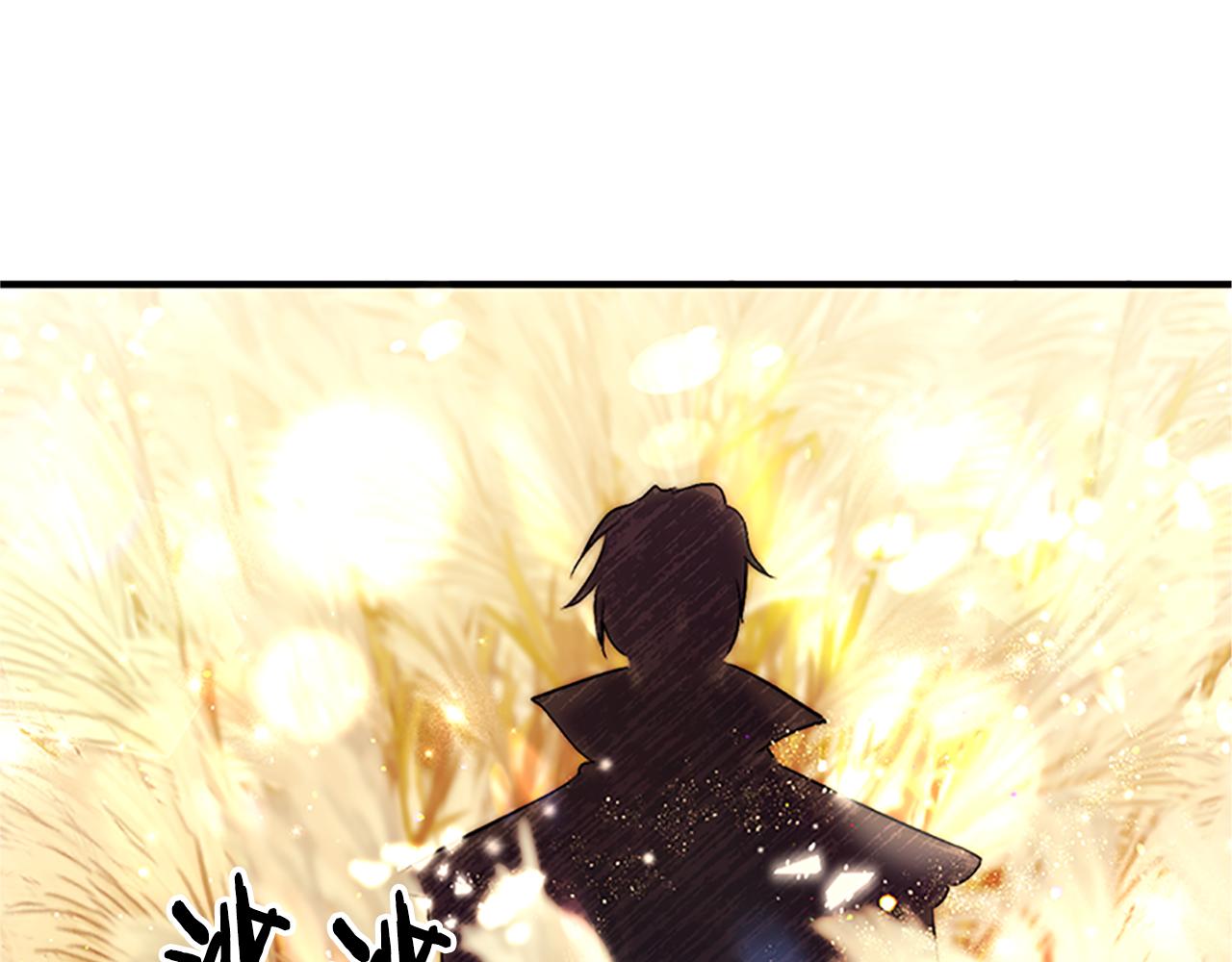 第 113 页