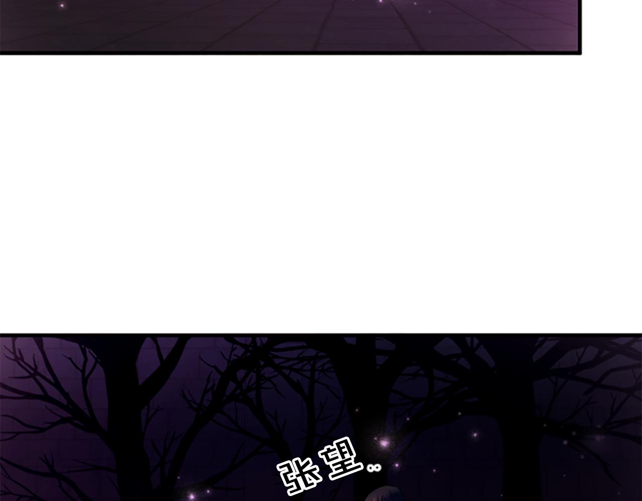 第 119 页