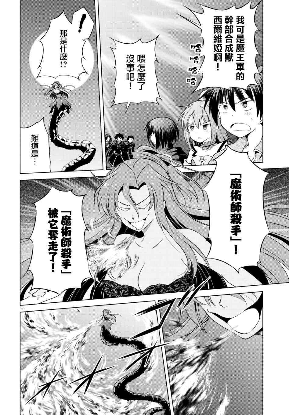 第 20 页